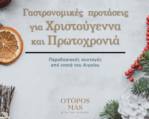 Χριστουγεννιάτικες συνταγές | Δωρεάν e-book