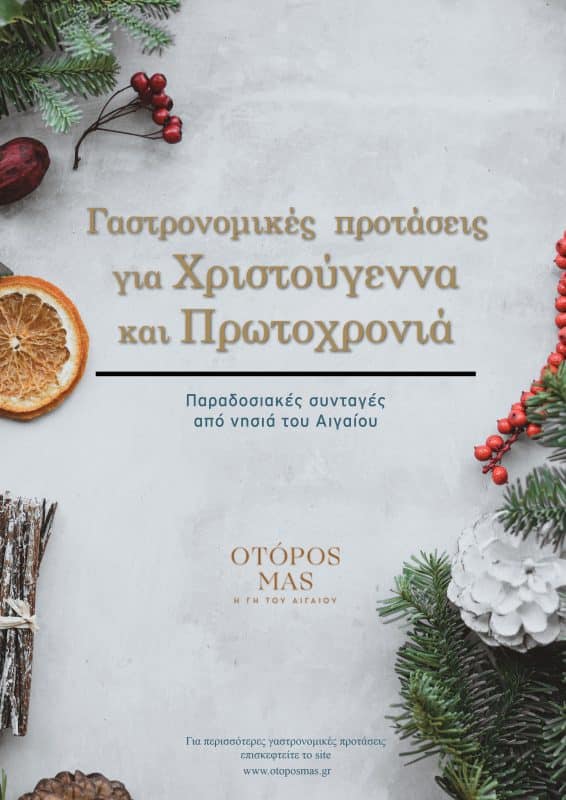 Χριστουγεννιάτικες συνταγές | Δωρεάν e-book